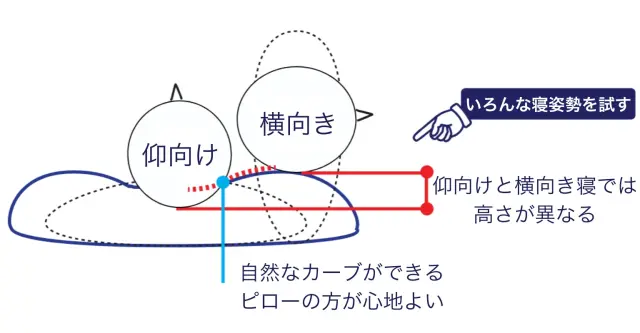 仰向け寝と横向き寝での枕の高さの違いを説明する図
