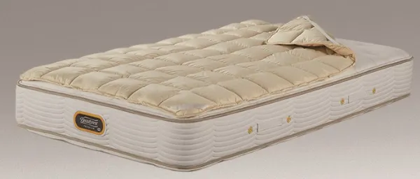 キャメルパッド